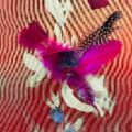 Fleur de plumes