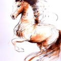 thumbnail_IMG_2065